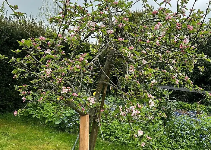 Funnix Haus Seeblick Nyaraló *